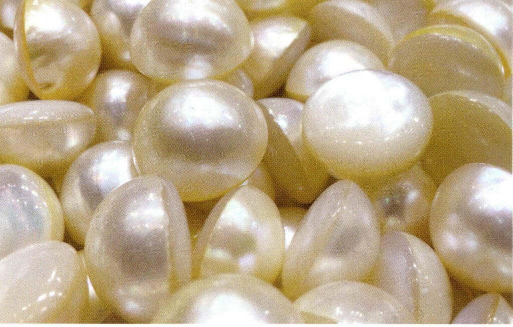 Figure 1-5-85 Three-layer Assembled Mabe Pearls (2)