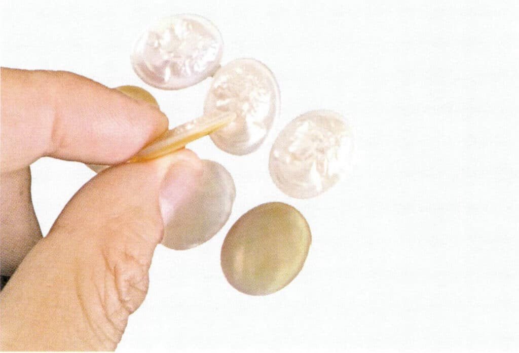 Figure 1-5-86 Two-layer assembled portrait Mabe pearl