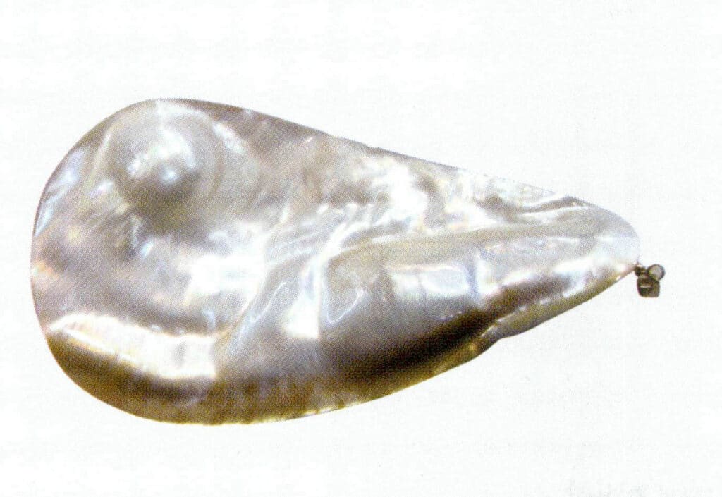Figure 1-5-88 Front view of three-layer assembled Mabe pearl