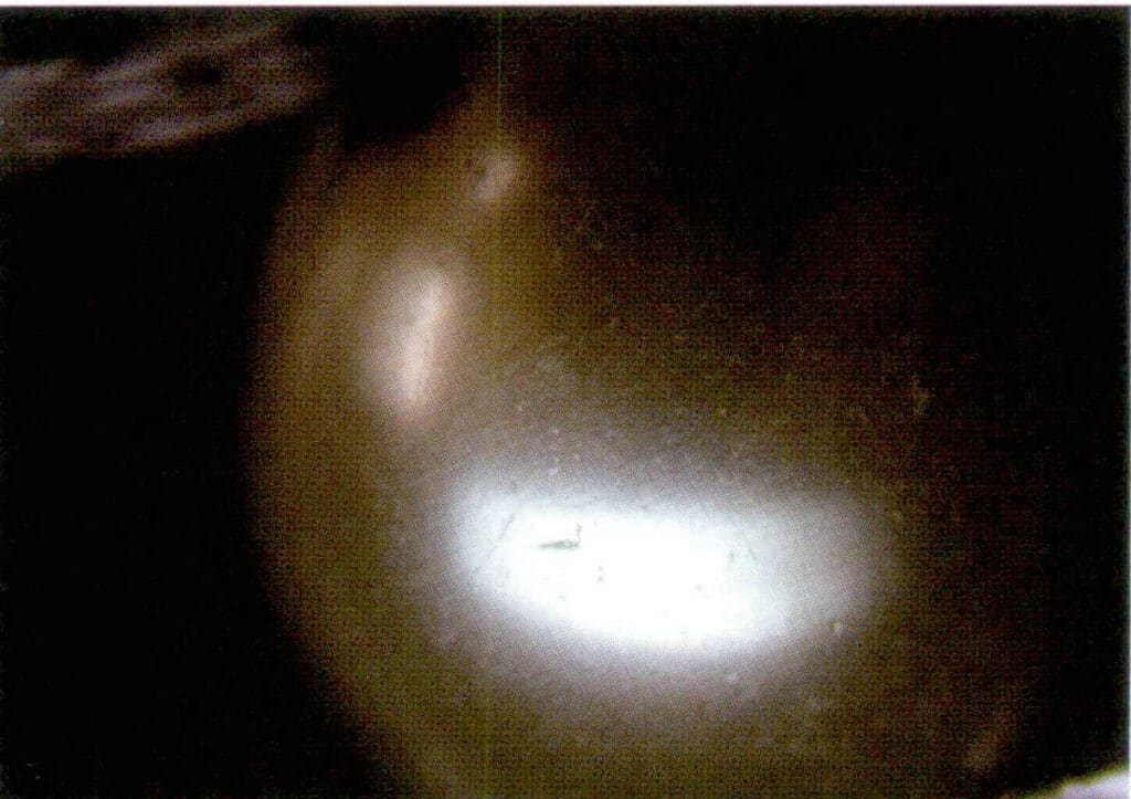 Figure 1-6-9 Surface characteristics of imitation pearls (1)