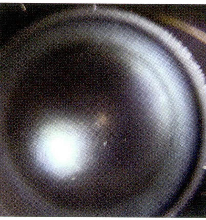 Figure 1-6-16 Smooth surface of seawater cultured pearls (microscopic observation)