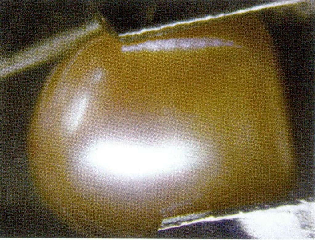Figure 1-6-17 The smooth surface of freshwater cultured pearls (microscopic observation)