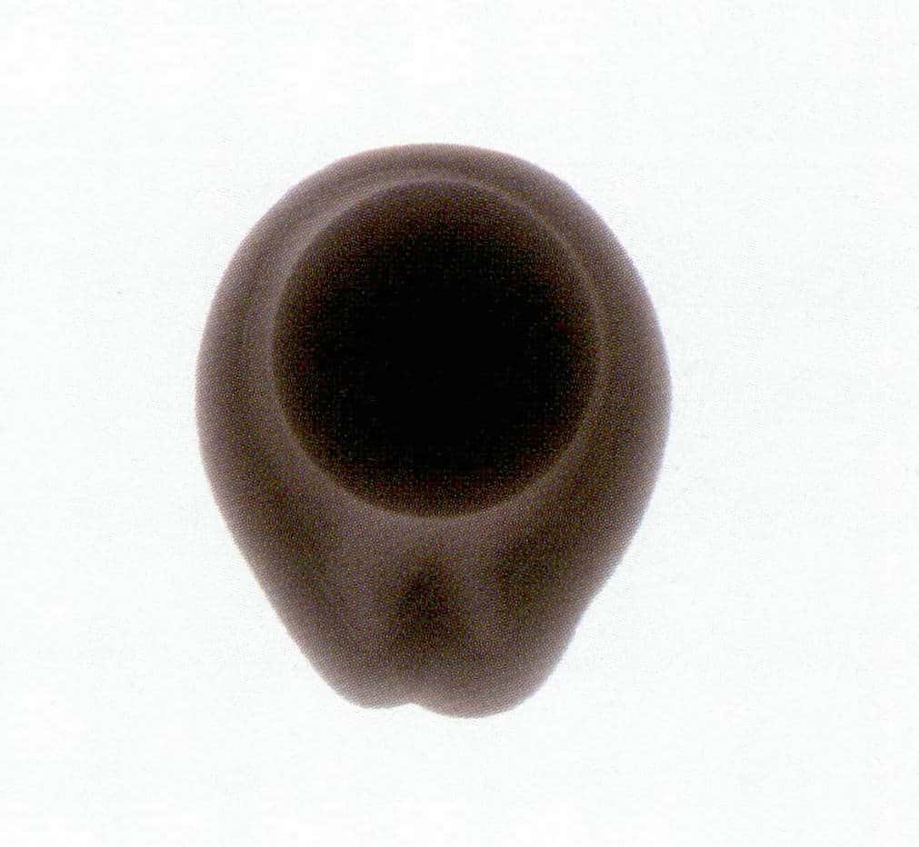 Figure 1-6-22 X-ray tomography observing seawater cultured pearls