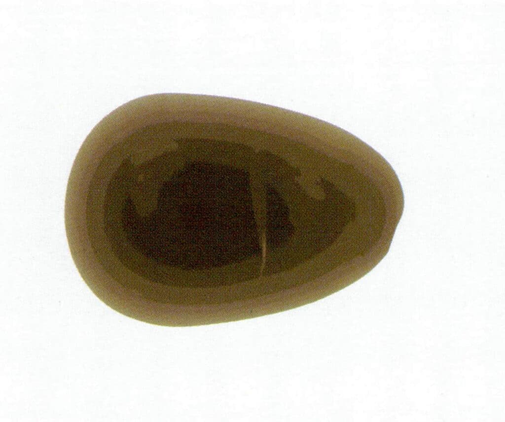 Figure 1-6-23 X-ray tomography observing non-nucleated freshwater cultured pearls