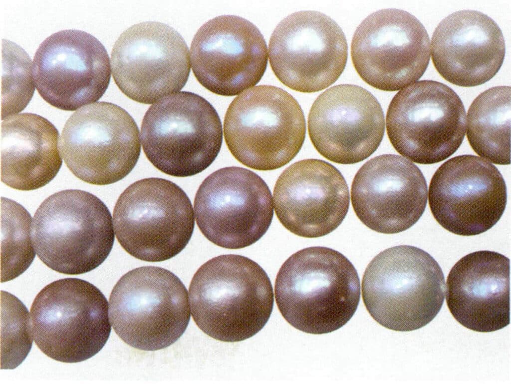 Figure 1-6-25 Freshwater nucleated cultured pearls 