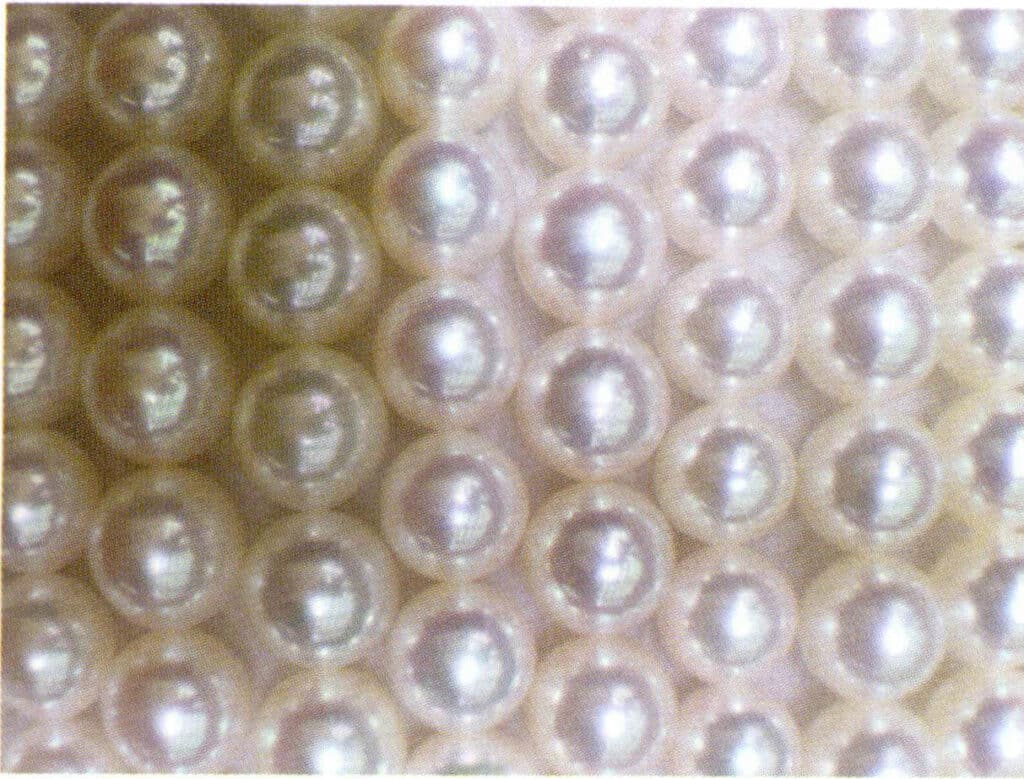 Figure 1-6-26 Seawater nucleated cultured pearls