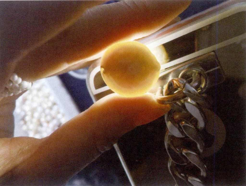 Figure 1-6-27 Transmission light observation of nucleated cultured pearls' nuclei