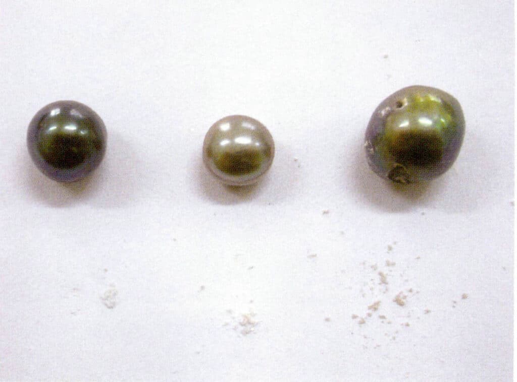 Figure 1-6-30 Taixi black pearl (left), irradiated freshwater cultured pearl (middle), dyed freshwater cultured pearl (right) and its powder