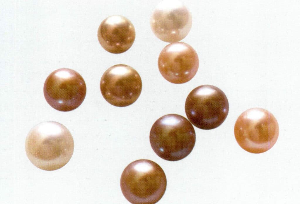 Figure 1-7-10 Extremely Strong Luster (Nucleated Freshwater Cultured Pearl) (One)
