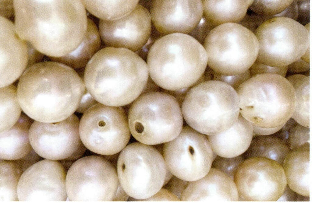 Figure 1-7-14 Weak to Medium Luster (Nucleated Freshwater Cultured Pearls)