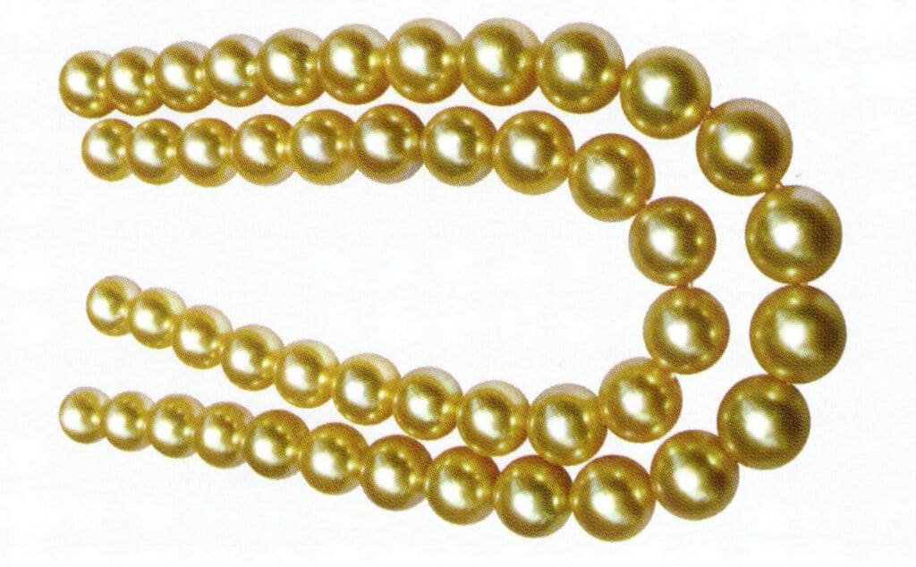 Figure 1-7-27 Vivid golden yellow (South Sea pearl)