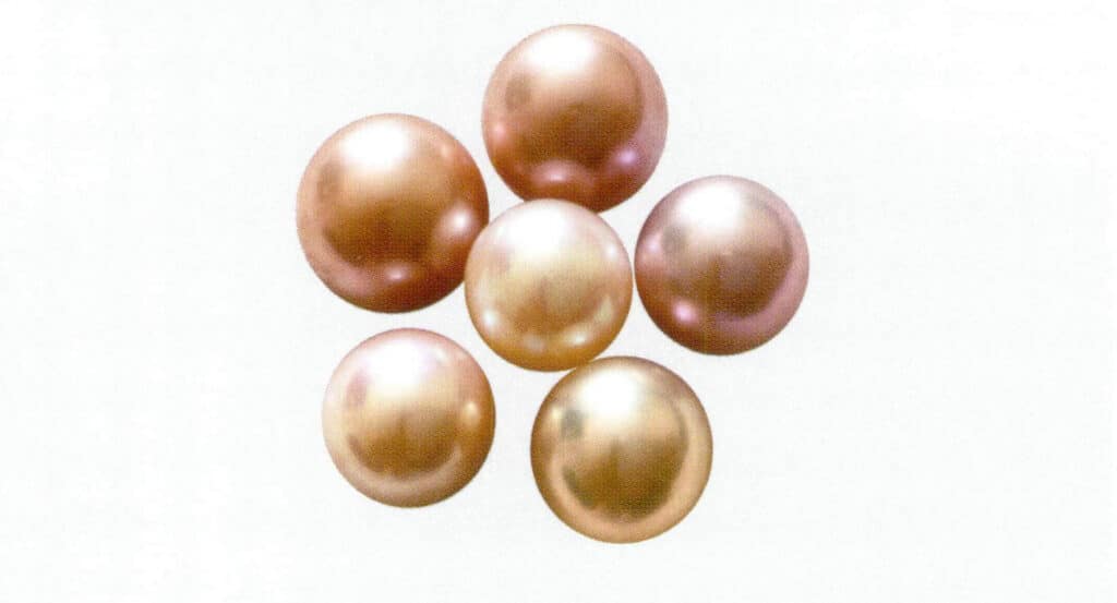 Figure 1-7-31 Light to deep pink, pink-purple (freshwater cultured pearls)