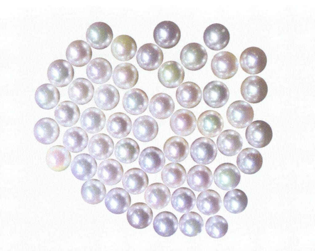 Figure 1-7-43 Strong powder, green and other accompanying colors (Akoya pearls)