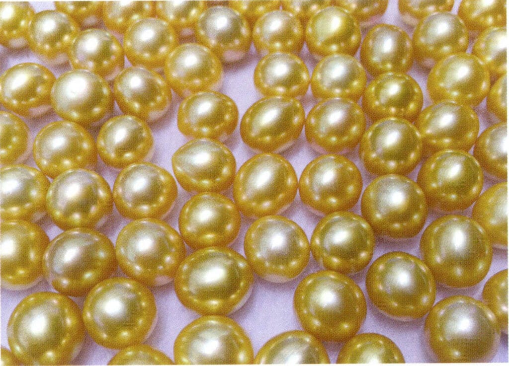 Figure 1-7-52 Oval shape (South Sea pearl)