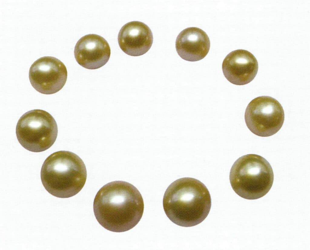 Figure 1-7-53 Flat round and round shapes (South Sea pearls)