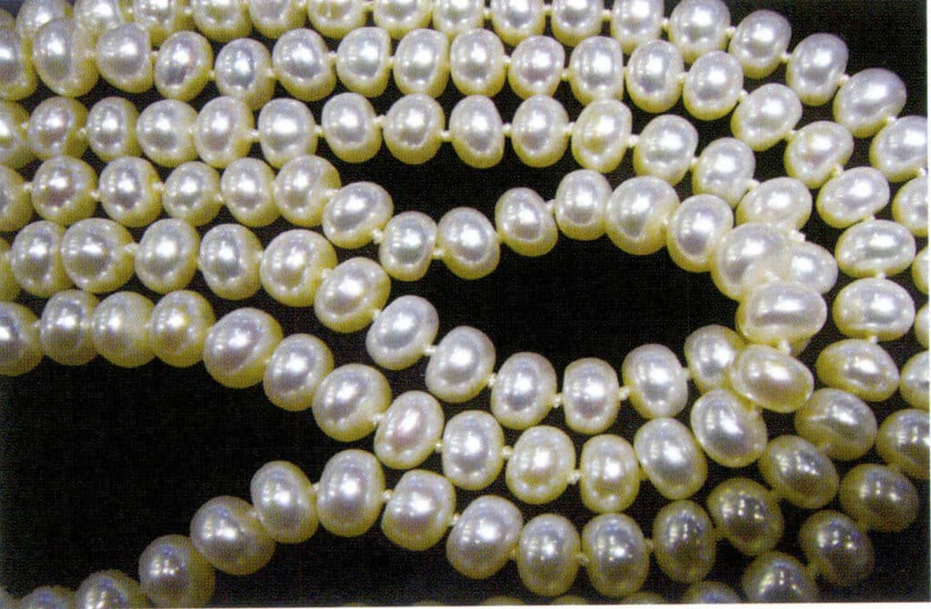 Figure 1-7-54 Flat-round shape (freshwater non-nucleated cultured pearl)
