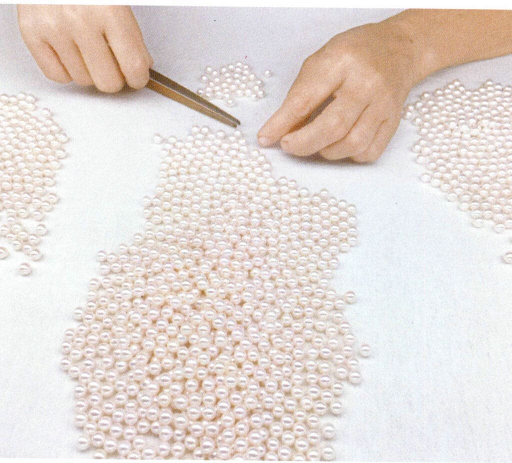 Figure 1-7-62 Sorting of pearls in seawater pearl processing plant (1)