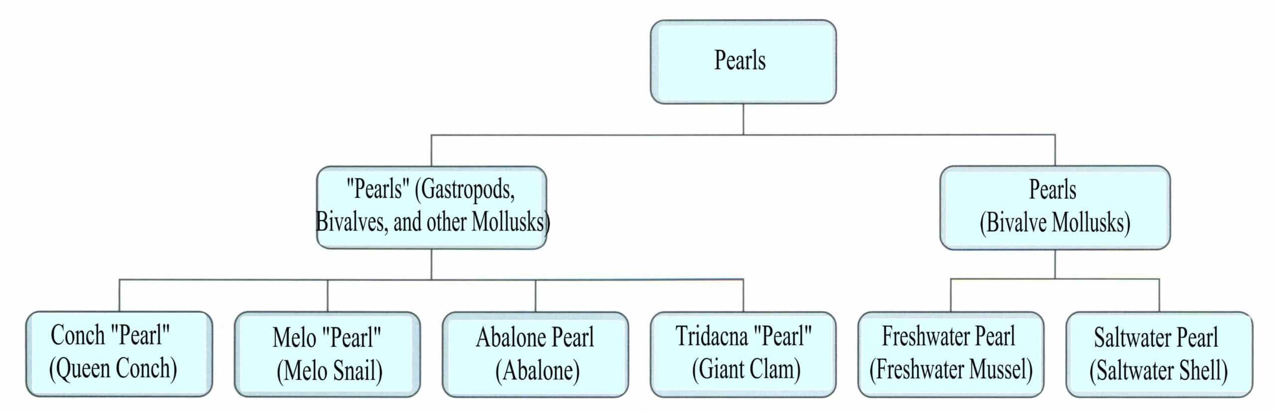 Figure 2-0-1 Classification of common pearls and their mother shells.