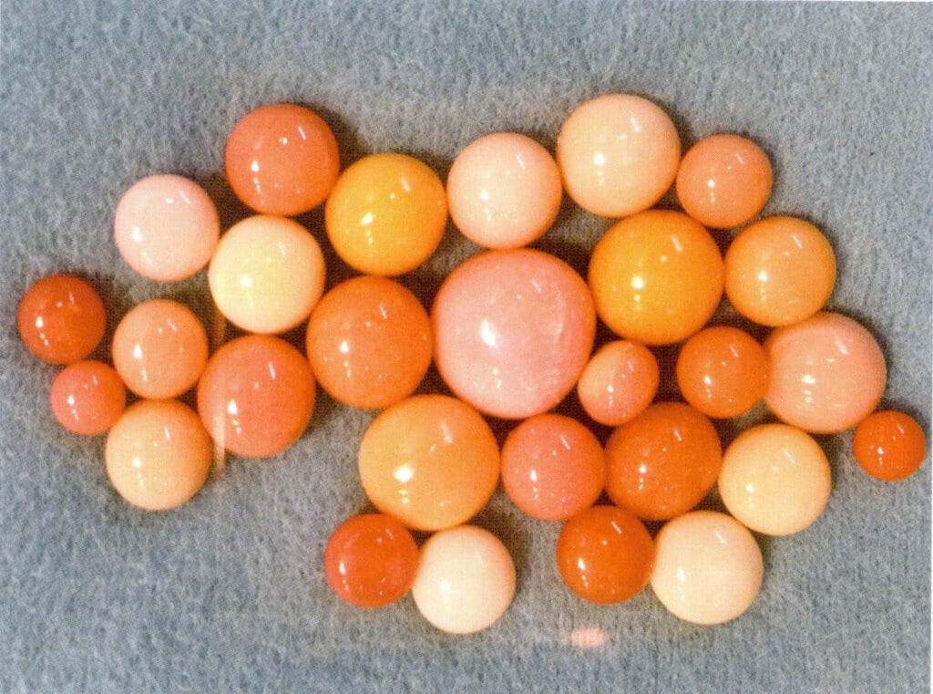 Figure 2-1-3 Conch "Pearl" (II)