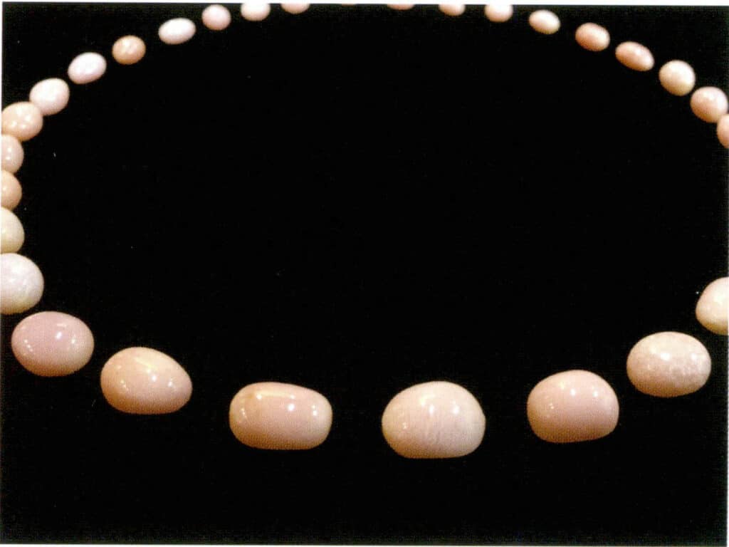 Figure 2-1-4 Conch "Pearl" (III)