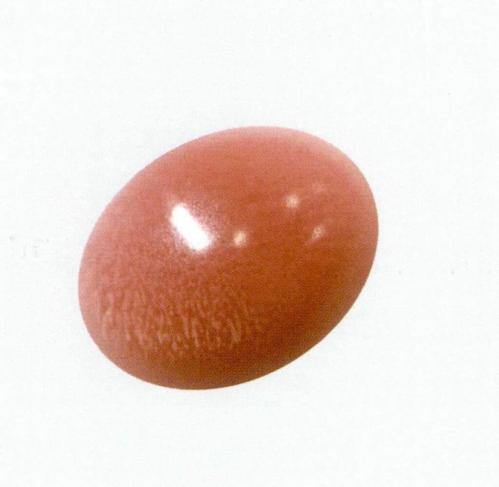 Figure 2-1-5 Flame-like structure of the “pearl” of a conch (1)