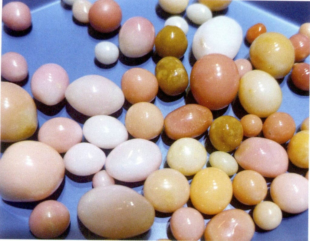 Figure 2-1-7 Different colored sea snail "pearls" (1)