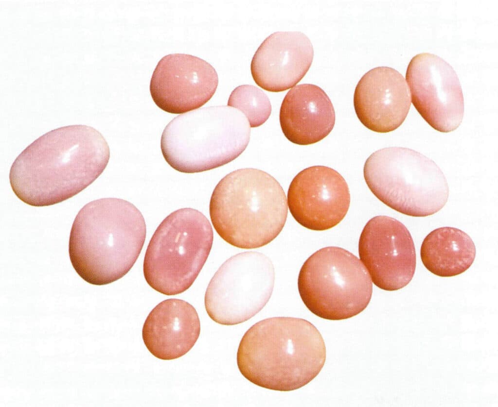 Figure 2-1-14 High-quality sea snail "Pearl" (1) 