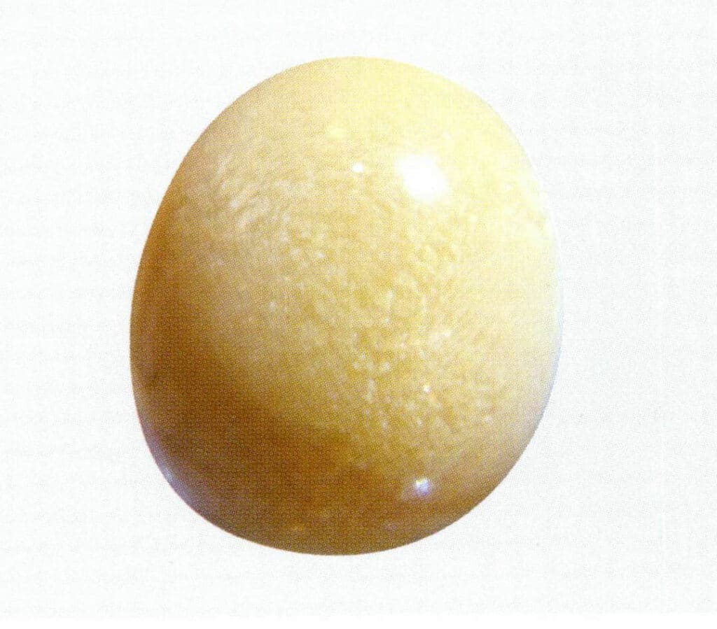 Figure 2-2-3 Mele "Pearl" flame-like structure (1)