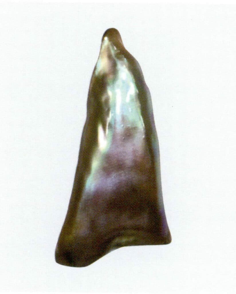 Figure 2-3-3 Abalone Shell (III) 