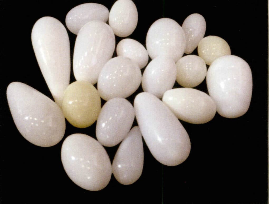 Figure 2-4-2 Tridacna pearl (white) and conch "pearl" (1)