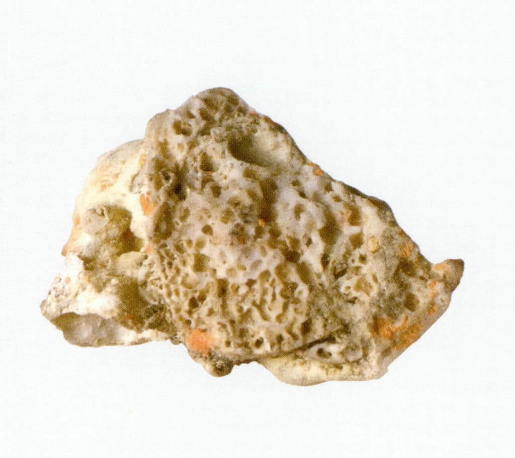 Рисунок 3-3-3 Отверстия на поверхности коралла