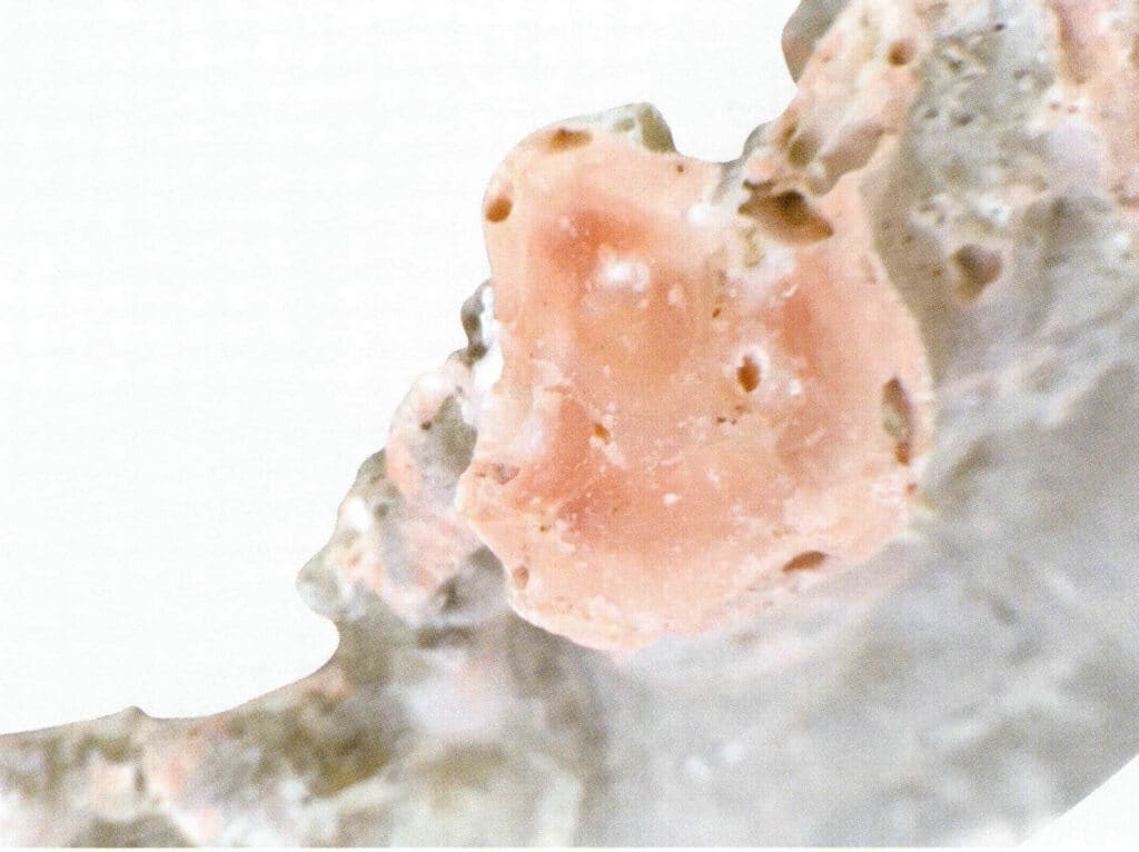 Рисунок 3-3-5 Поперечные отверстия ветвей коралла