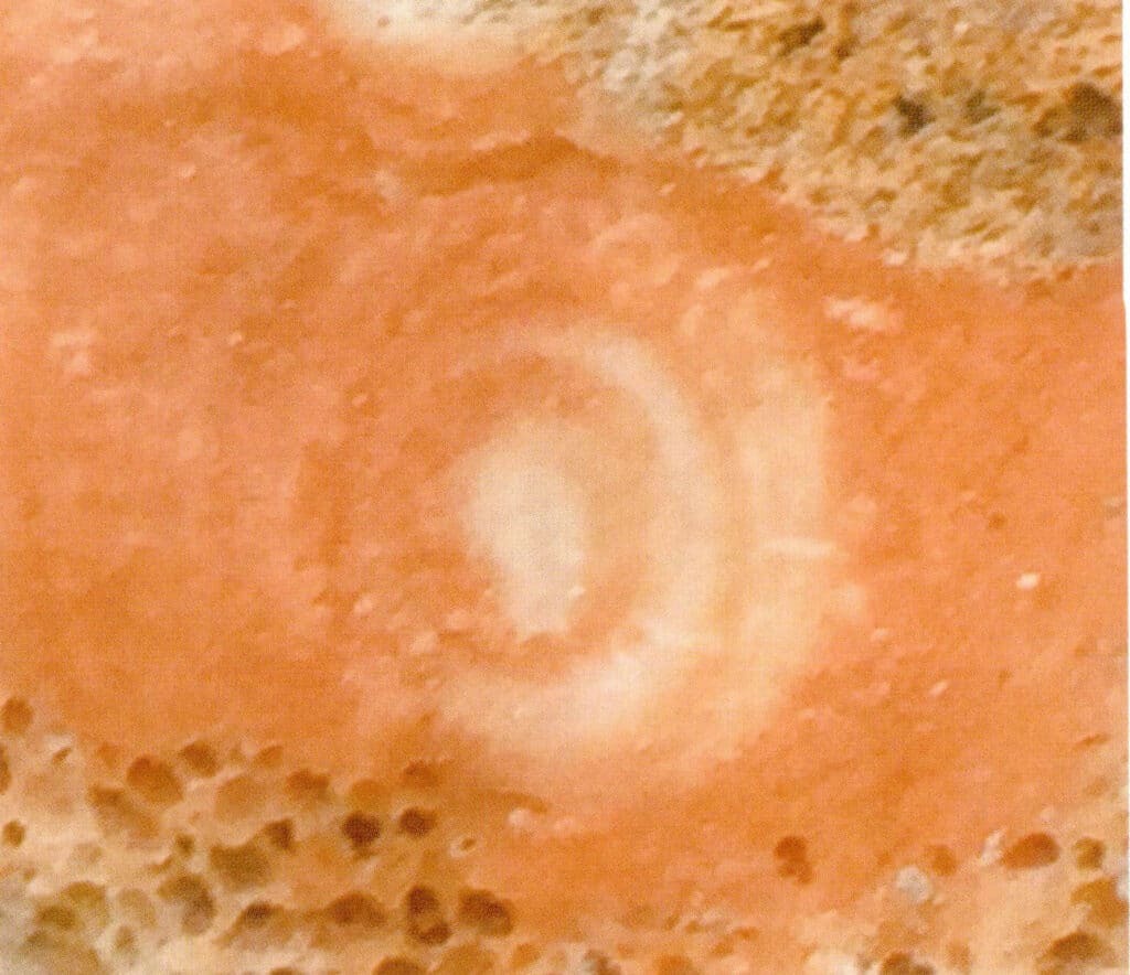 Рисунок 3-3-10 Белая сердцевина и концентрическая кольцевая структура на поперечном срезе красного коралла