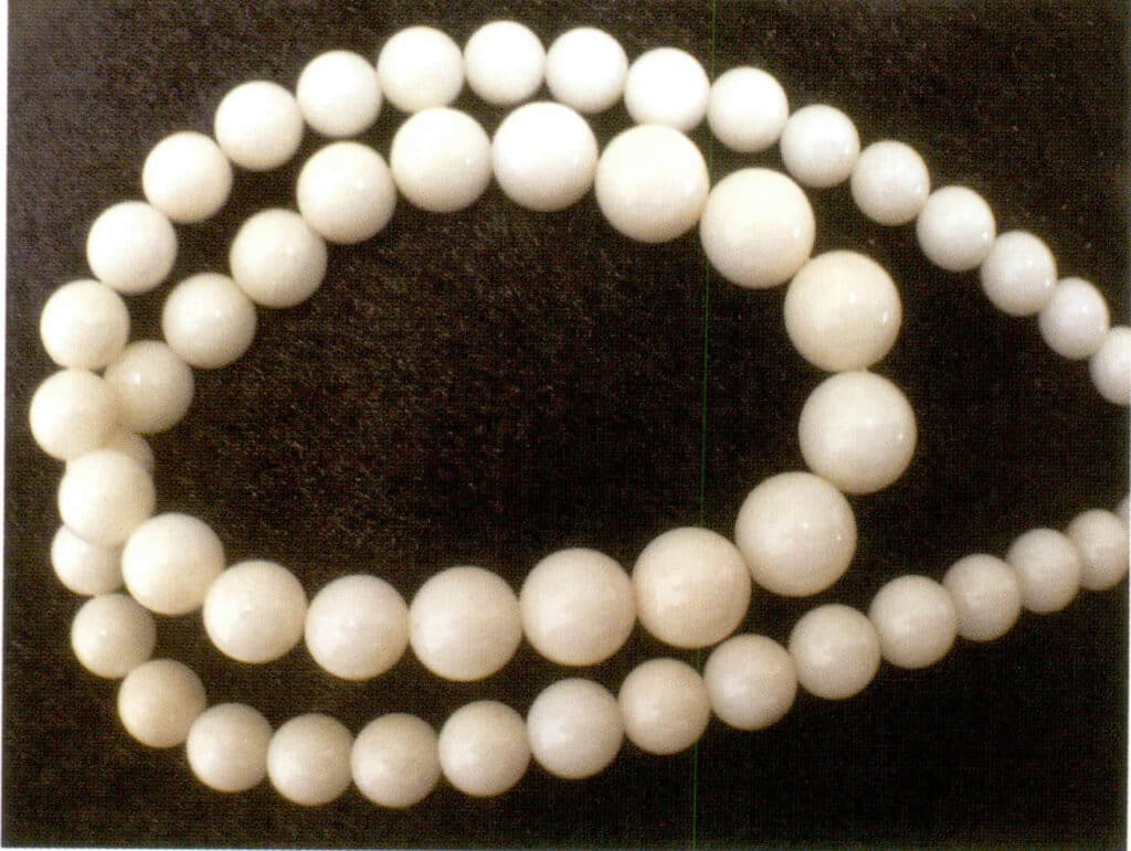 Рисунок 3-3-12 Белый коралл