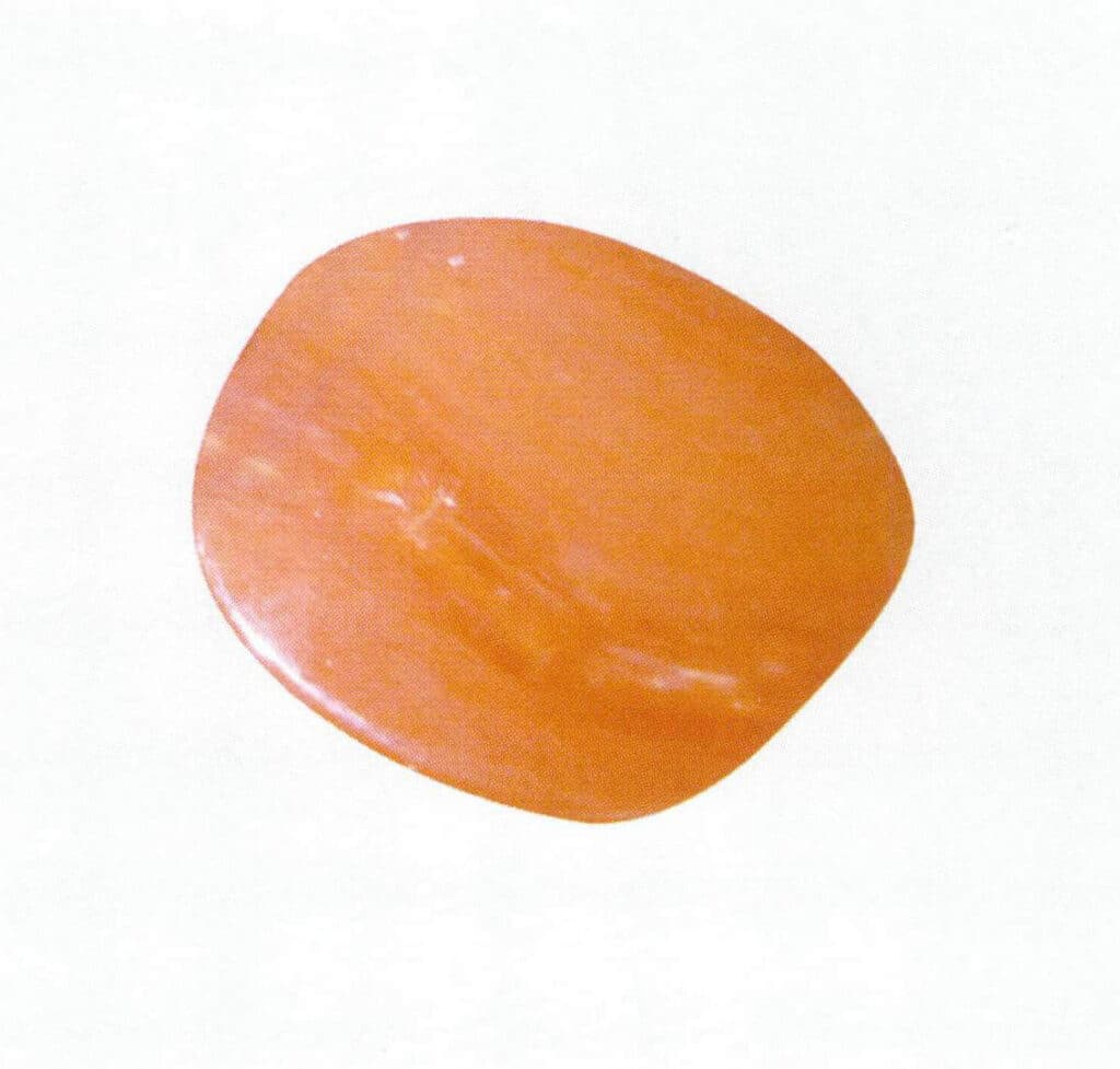 Рисунок 3-3-17 Готовый коралл с восковым блеском