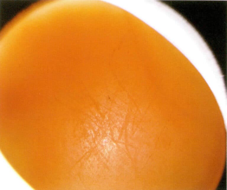 На рисунке 3-3-20 показаны царапины, оставшиеся на поверхности коралла после длительного контакта с пинцетом для драгоценных камней.