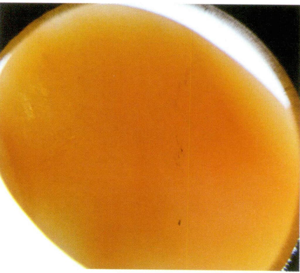 Рисунок 3-3-24 Неравномерный цвет красного коралла