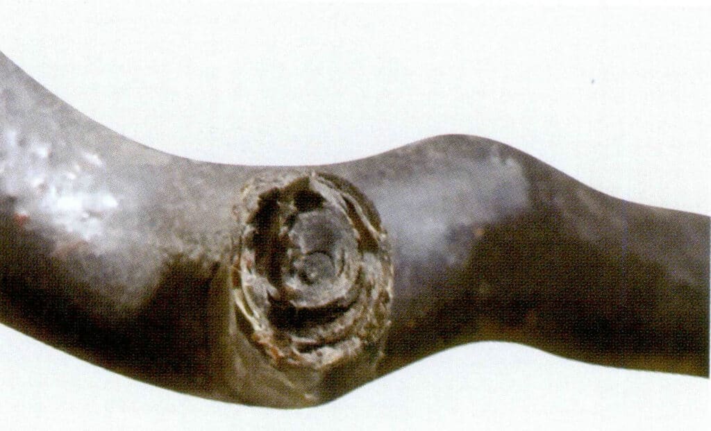 Рисунок 3-3-25 Концентрические кольца в поперечном сечении оригинальной ветви черного коралла