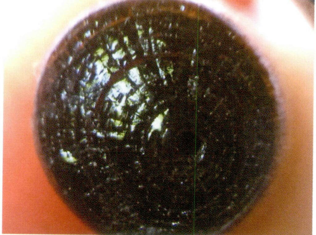 Рисунок 3-3-26 Паутинообразная структура поперечного сечения готового черного коралла