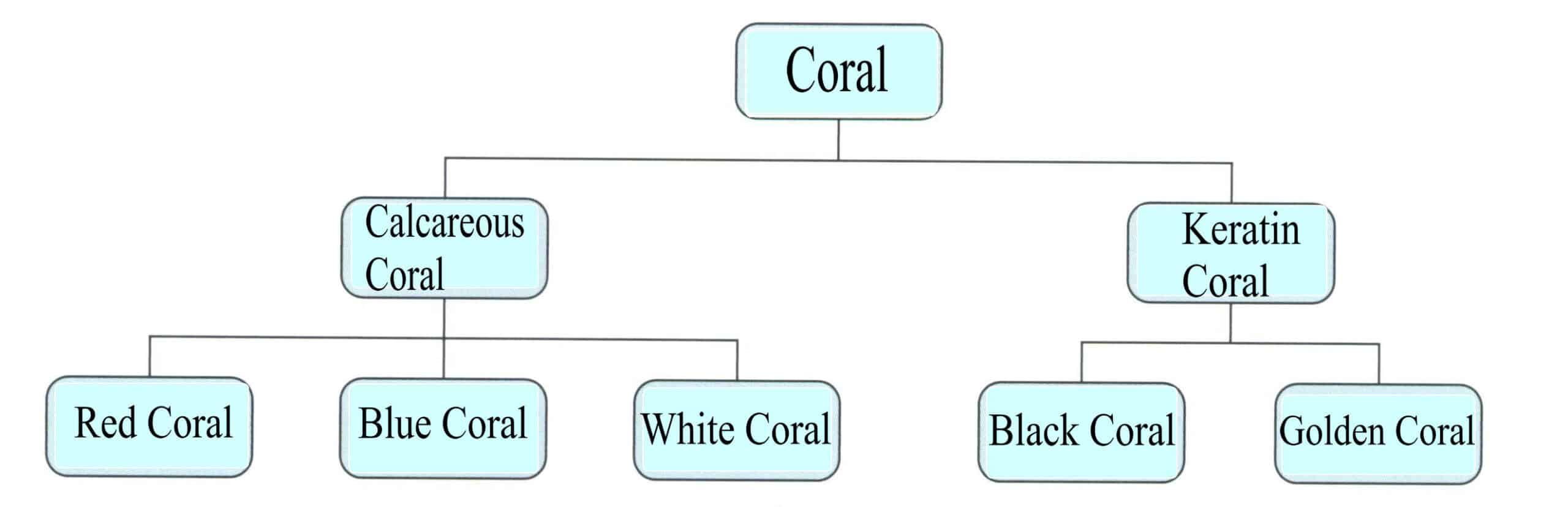 Рисунок 3-4-1 Геммологическая классификация кораллов