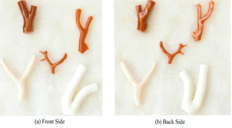 Рисунок 3-4-2 Основные разновидности и цвета драгоценных кораллов