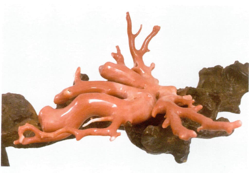 Рисунок 3-4-18 Полированная оригинальная ветвь красного коралла MOMO