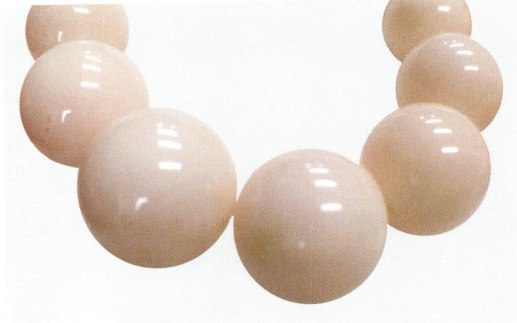 Рисунок 3-4-23 Коралл MOMO "Кожа ангела"