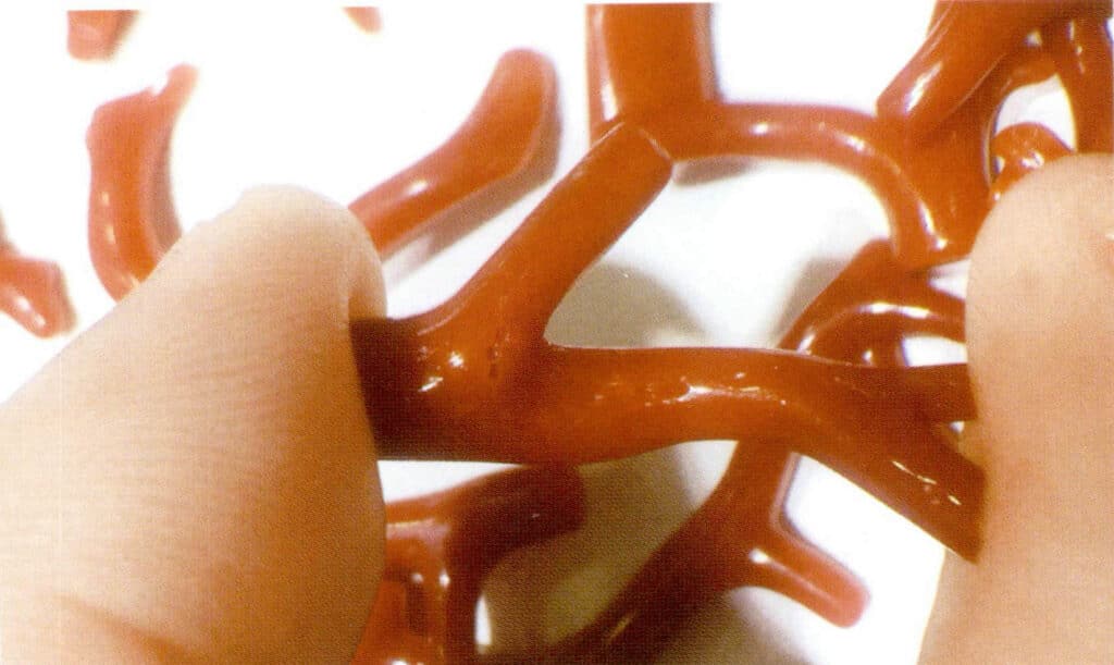 Рисунок 3-4-24 Оригинальные ветви красного сардинового коралла и "песчаные дыры" на поверхности