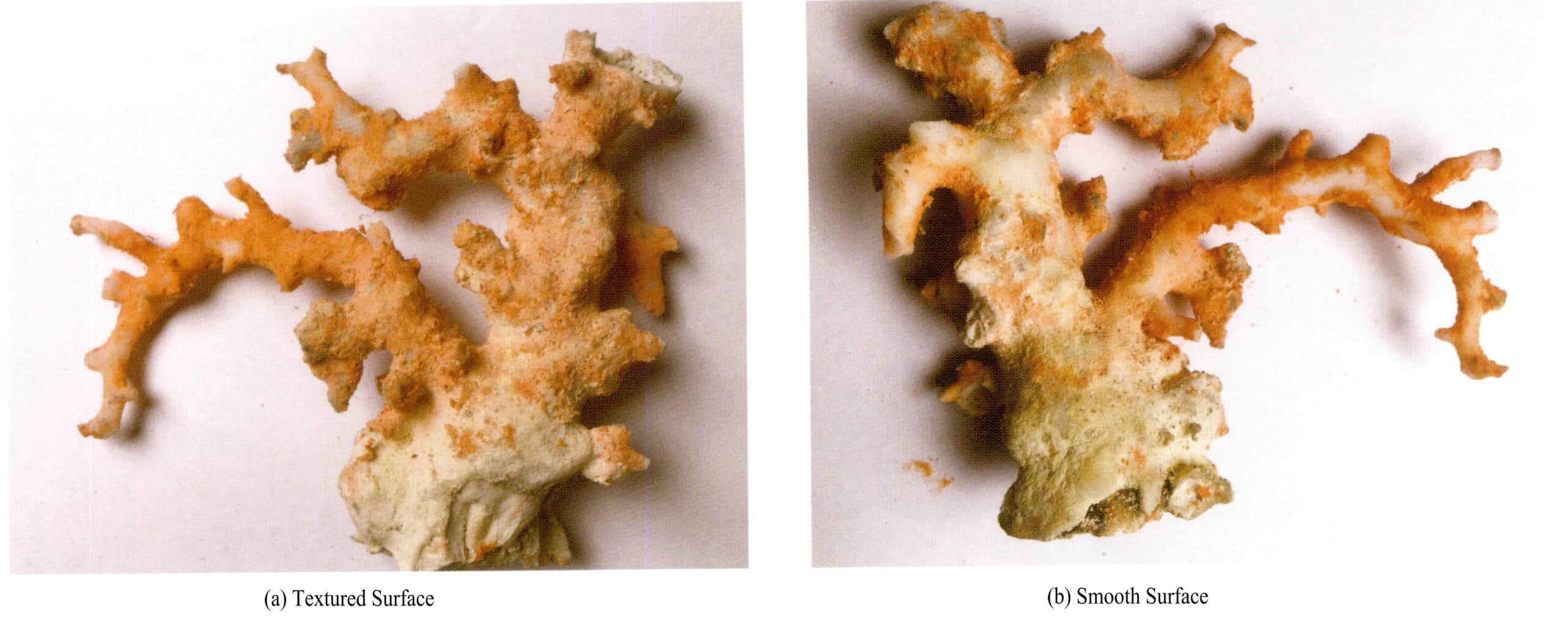 Рисунок 3-4-29 Розовый коралл Оригинальная ветка (1)