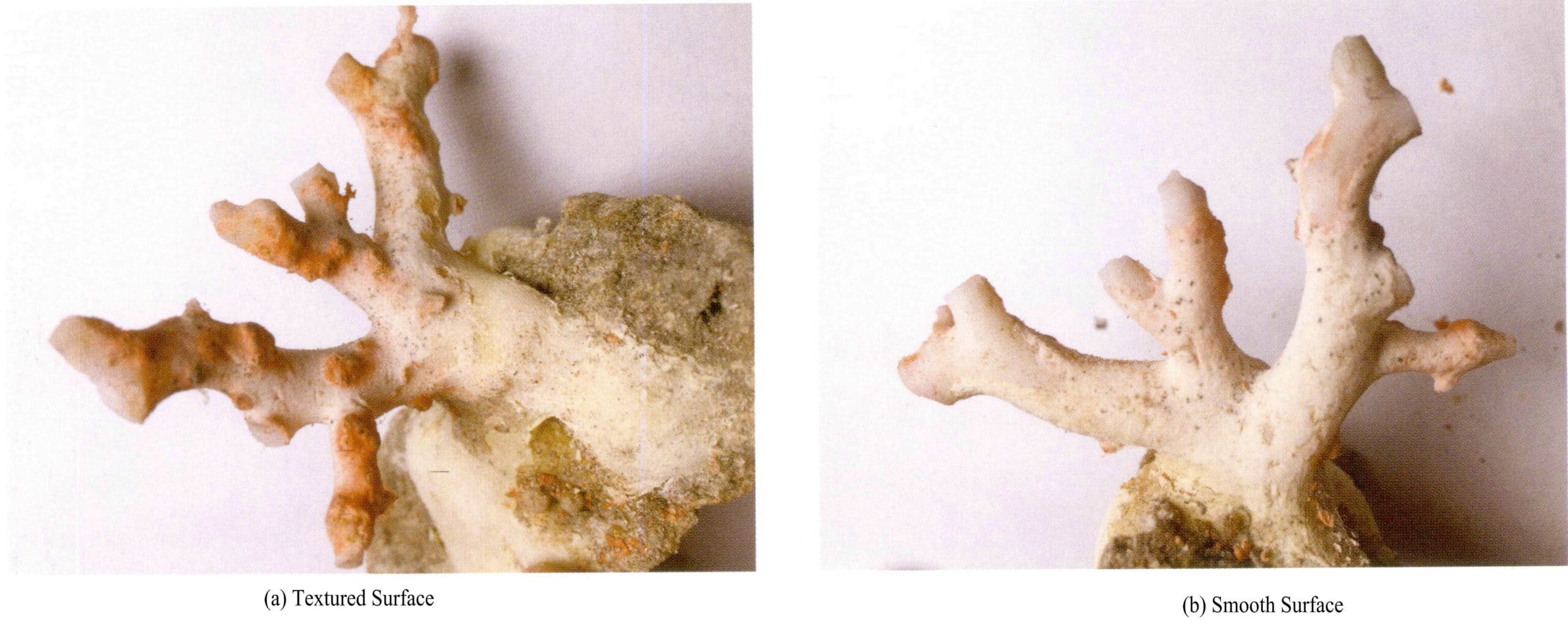 Рисунок 3-4-30 Розовый коралл Оригинальная ветка (2)