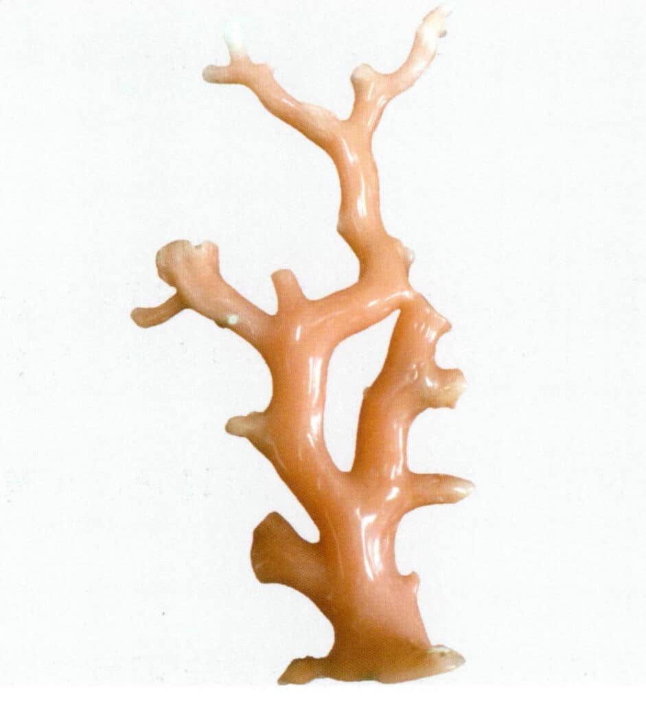 Рисунок 3-4-31 Ветка полированного розового коралла