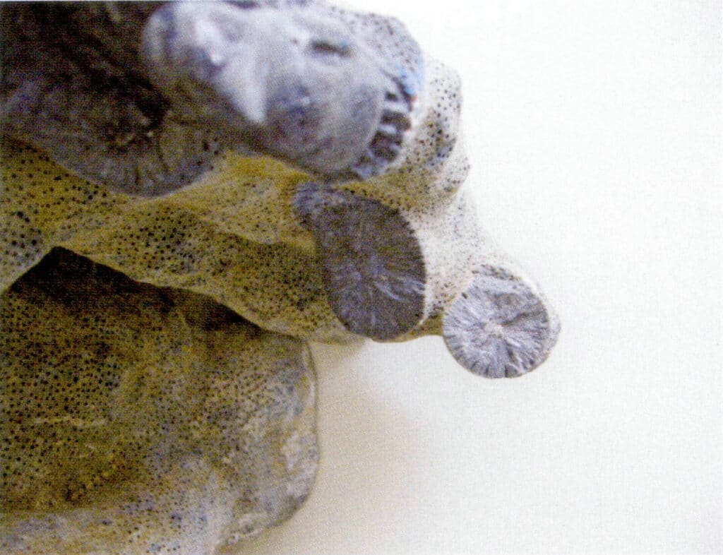 Рисунок 3-4-36 Паутина, видимая в поперечном разрезе ветвящегося голубого коралла