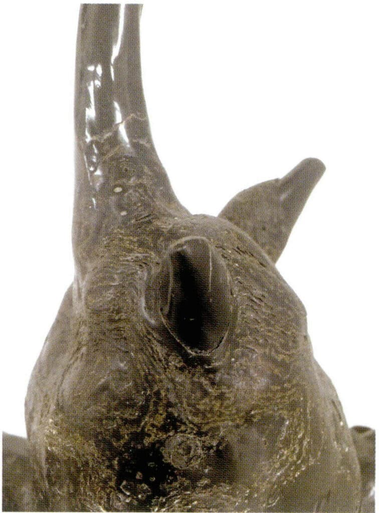 Рисунок 3-4-39 Ветвистый черный коралл