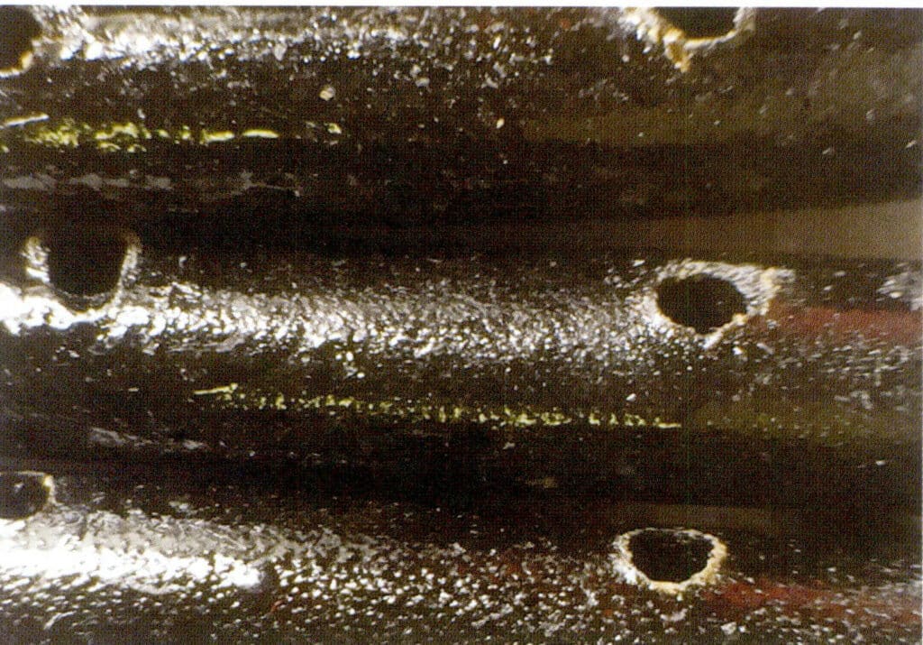 Рисунок 3-4-41 Небольшие выступы черного коралла